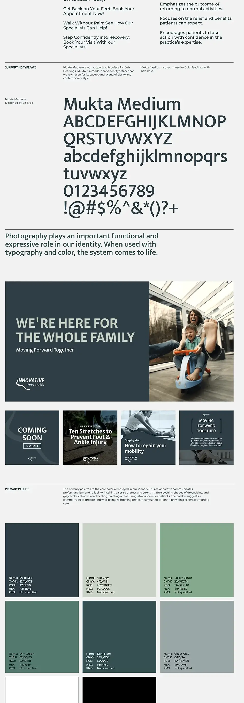 IFAS Brand Guidelines Full Page