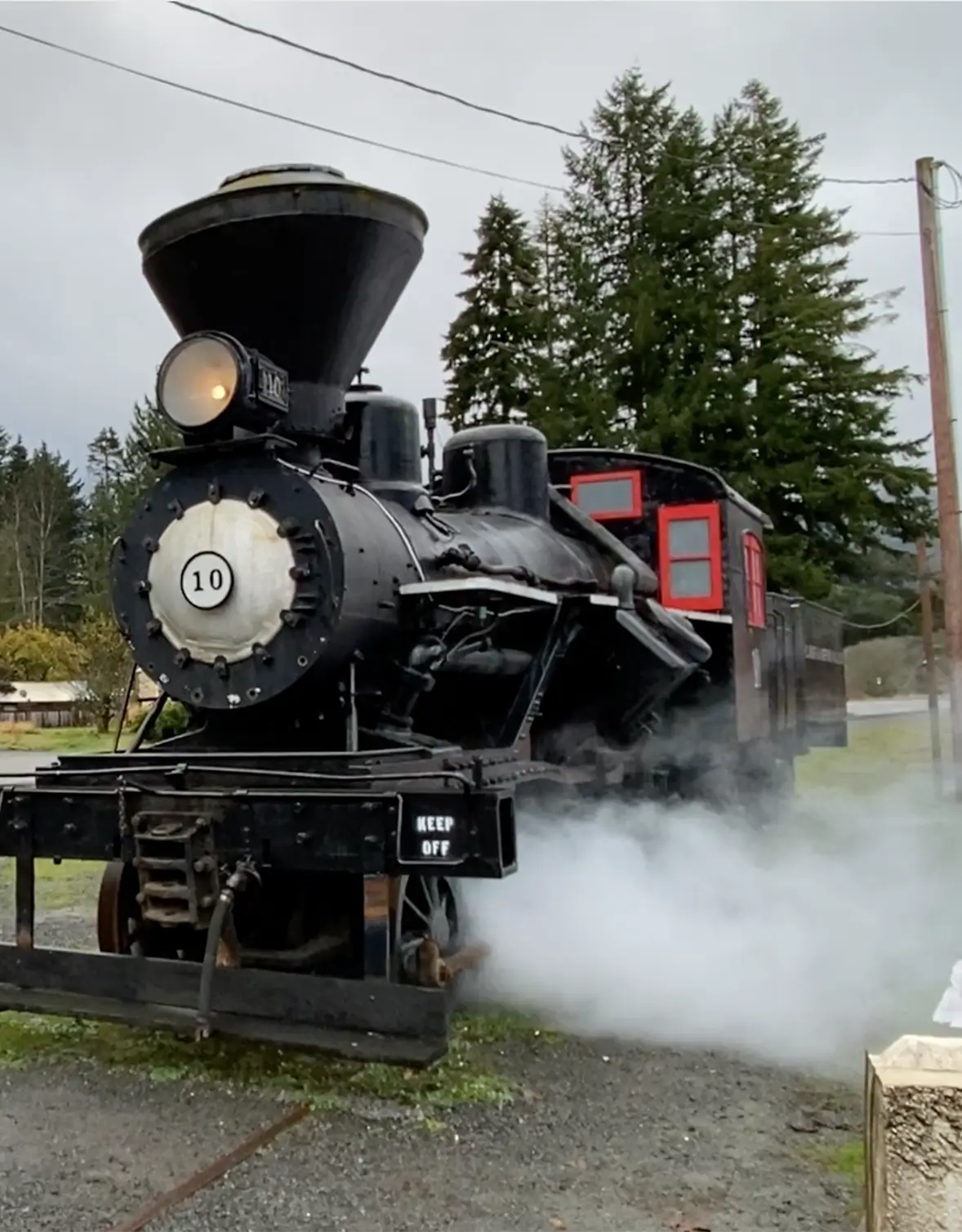 Number 10 Train outside Elble Station in Mt. Rainer